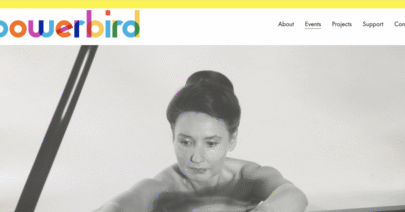 Bowerbird festival - Philadelphia