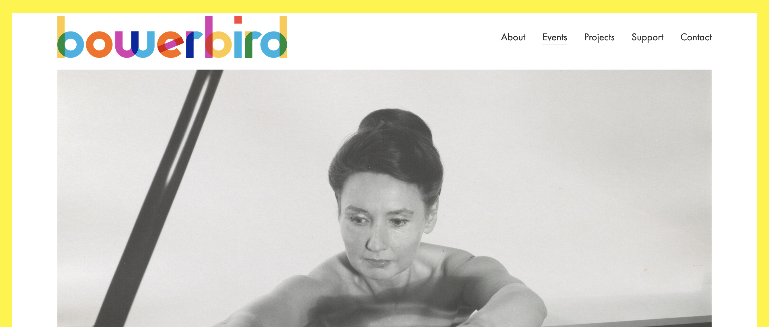Bowerbird festival - Philadelphia