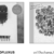 Sub Rosa release_Toniutti_header